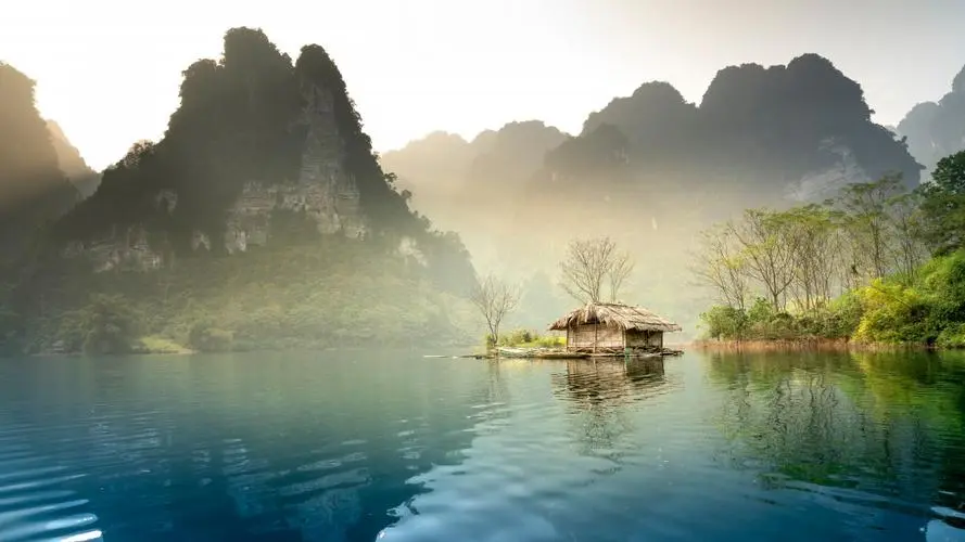 科技全自动高性能